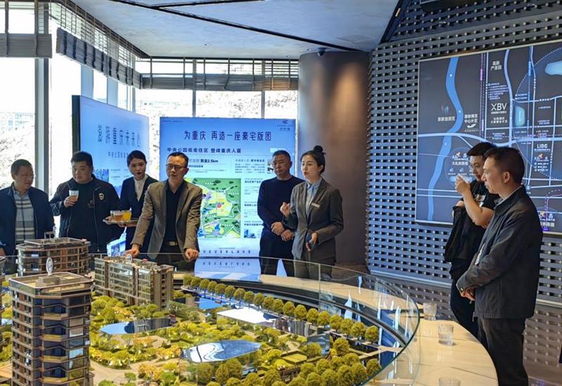 008PG国际房产与合力公司赴重庆发展项目产品定位调查调研 (1)_800-550